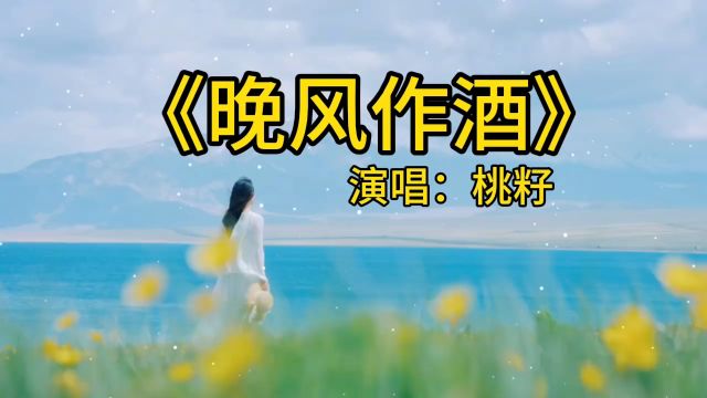 《晚风作酒》桃籽演唱版本歌曲,不求人生如若初见,只愿相看两不厌