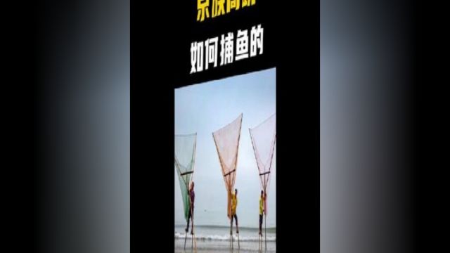 广西有个神秘的少数民族,掌握着濒临消失的高跷捕鱼技术