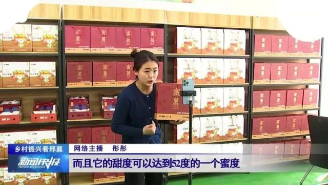 【乡村振兴看邢襄】小蜜薯大产业 链网融合走上奔富路