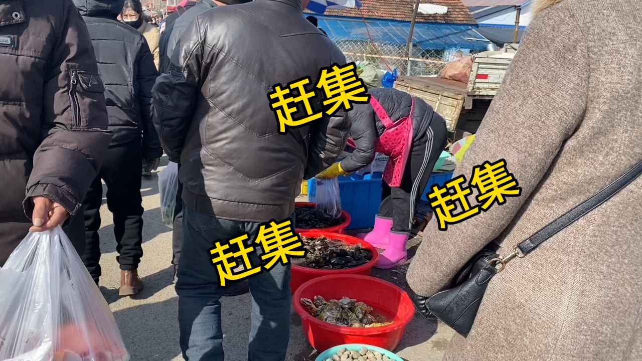 春姐今天去赶集,集上人山人海,琳琅满目赶集的人真多