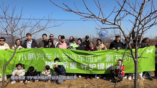 小鹏汽车播撒希望 守护绿洲植树公益活动圆满结束