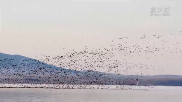 湿地公园里的春之约