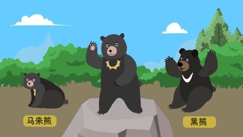 “日月组合”马来熊和黑熊