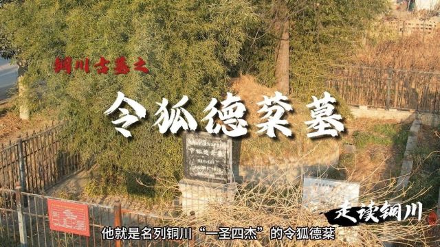 《走读铜川》第30期 铜川古墓之令狐德棻墓