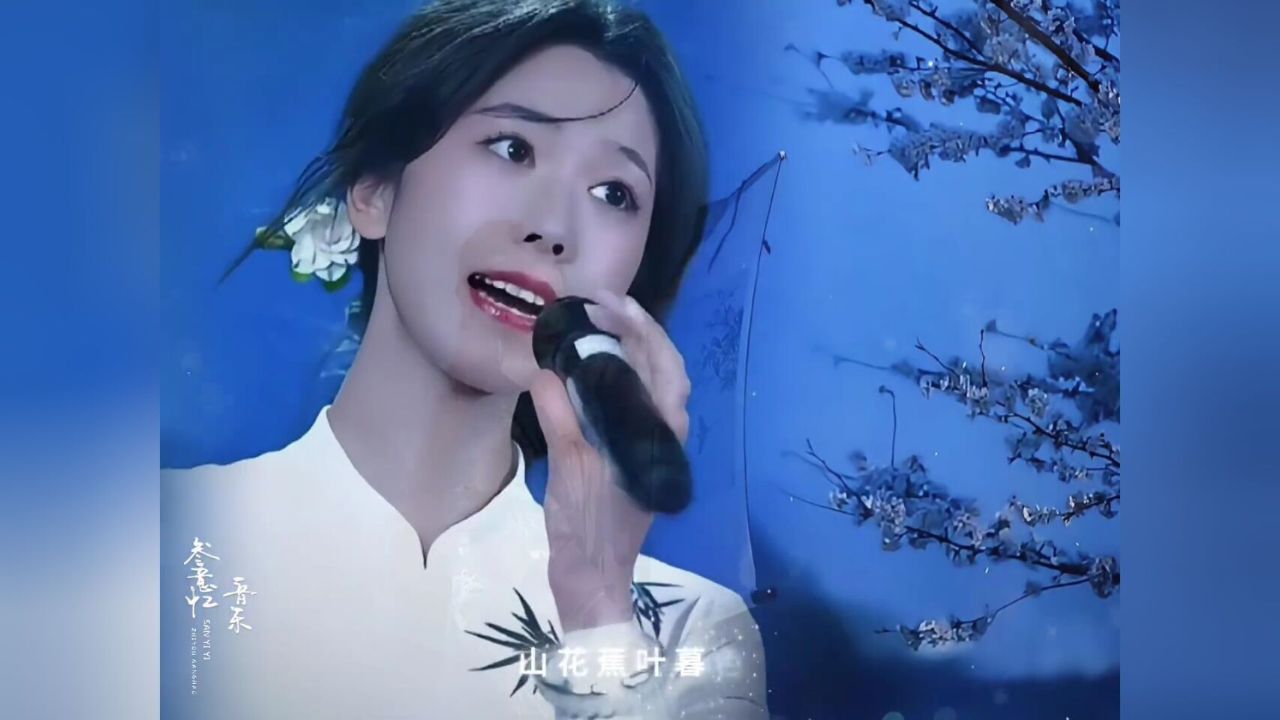 韩晴 夏小夏 演唱 吴侬软语版的《声声慢》太好听