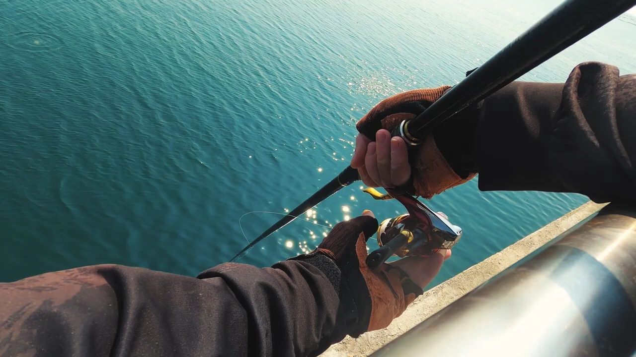 矶钓,手太痒就要出去解瘾,能钓到几只是几只