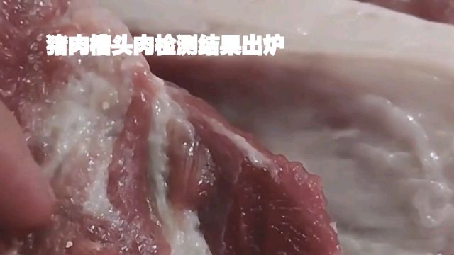 315曝光:淋巴肉真面目,选购猪肉需谨慎