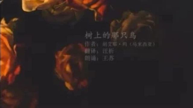 【校园快讯】沪一“悦读”时间(特辑)——文化自信,从中国的文字和语言开始