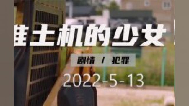 第3/3集2022最新韩国犯罪电影,花臂少女人间疾苦尝个遍