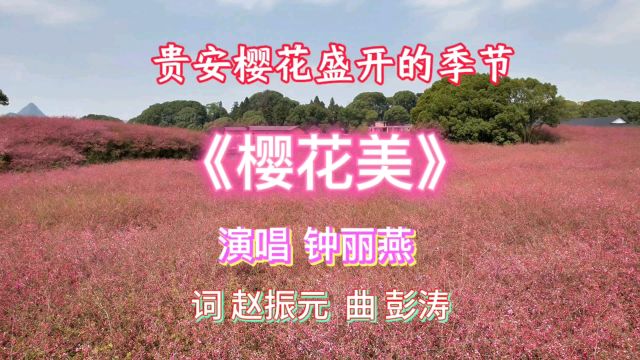 走进贵阳贵安樱花园,初开樱花沁人心扉