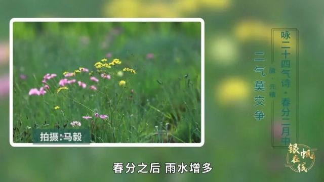 《银帆在线》2024年第四期《春分》篇