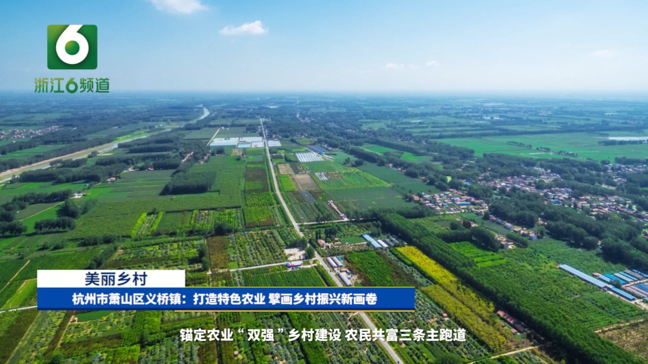 杭州市萧山区义桥镇:打造特色农业 擘画乡村振兴新画卷