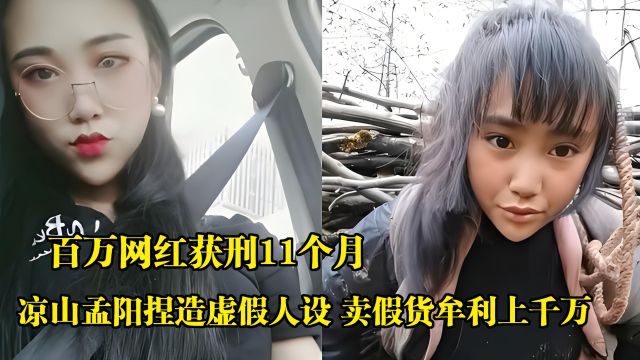 百万网红获刑11个月,凉山孟阳捏造虚假人设,卖假货牟利上千万