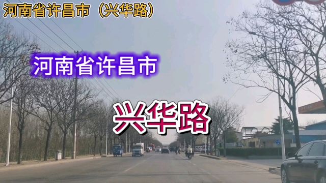 河南许昌:兴华路!