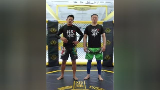 MMA的格斗站架,三种不同距离的格斗式