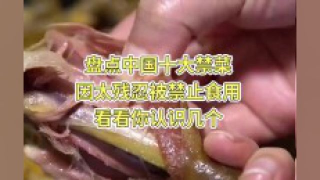 盘点中国十大禁菜,因太残忍被禁止食用!看看你认识几个? 2