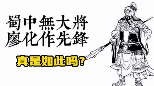 蜀汉后期沦落到无人可用?其实人才济济,诸葛亮却不敢用