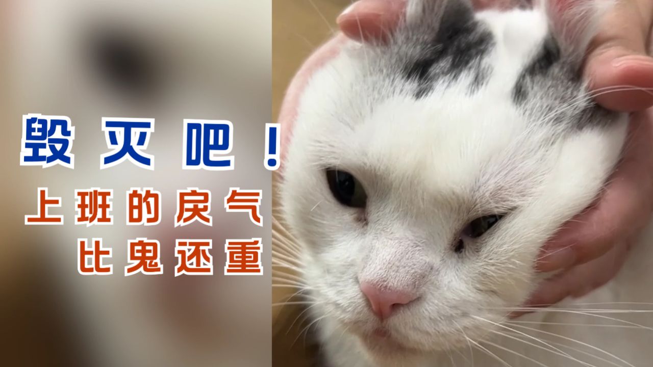 毁灭吧!上班的戾气比鬼还重