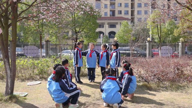 永州市苹洲小学二年级植树节活动