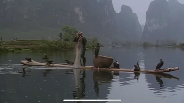 Fishing with cormorants