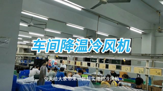 车间降温冷风机、工厂降温冷风机,厂房冷风机空调