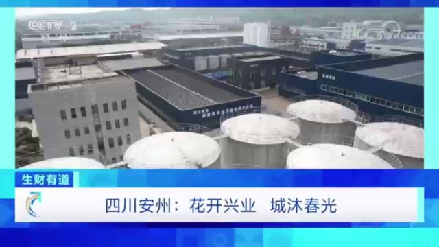 花开兴业、城沐春光 CCTV2带你了解 四川安州辉达粮油