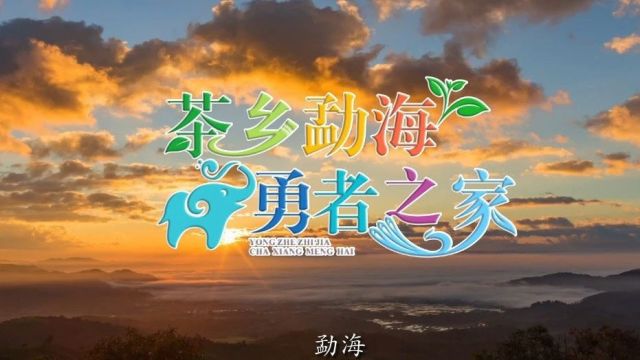 【百城千屏ⷧ𚢥ŸŽ印象】北疆文化乌兰浩特主题宣传活动第七站——走进云南省西双版纳傣族自治州勐海县