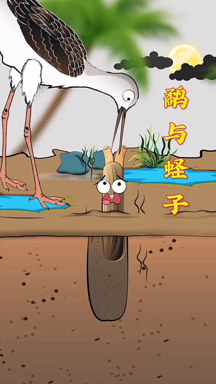 你知道鹬鸟怎么吃蛏子的吗?