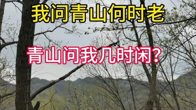 山不见我,我自去见山#春天的味道都在山上 #大山深处自然美山清水秀好风光 #我上春山约你来见