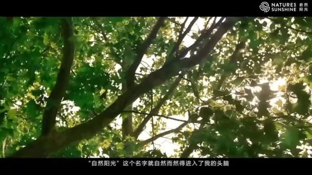 自然阳光的故事|跨越半个世纪的胶囊精神