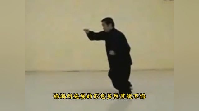 90年代杨海施展形意拳,一掌打出音爆声,实在离谱武术功夫形意拳传统武术