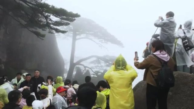 【网络中国节ⷦ𘅦˜Ž】黄山风景区烟雨朦胧 志愿服务暖客心