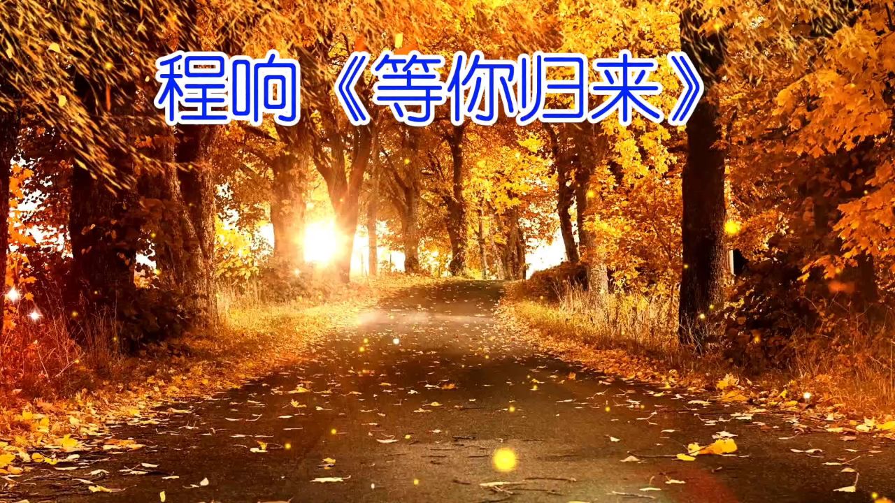 程响之等你归来