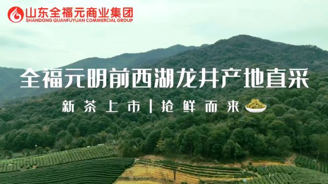 全福元明前西湖龙井产地直采