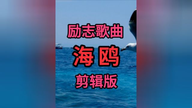 《海鸥》钟成刚原创励志歌曲MV剪辑版