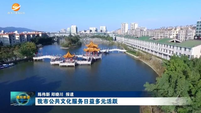 我市公共文化服务日益多元活跃