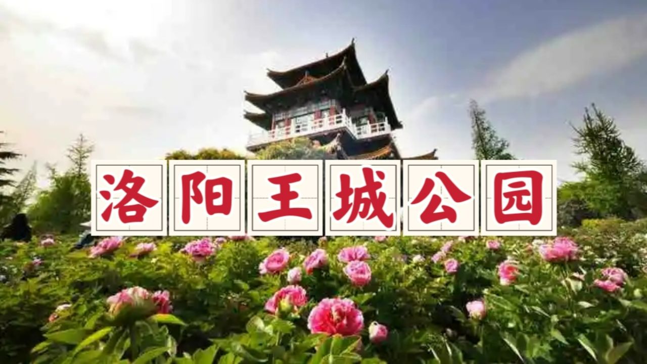 洛阳王城公园,五彩牡丹傲然绽放,不能错过一年中的美好春光
