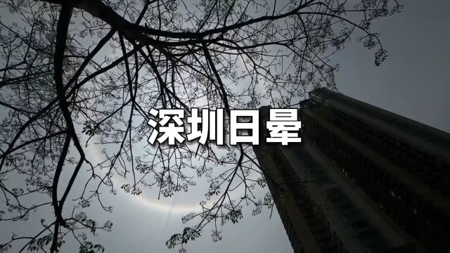 【视频】深圳天空出现日晕