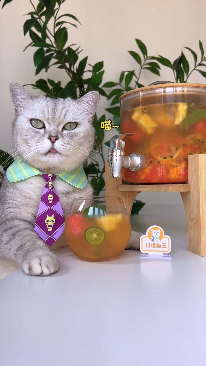 料理猫王奶茶图片