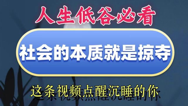 人生低谷必看系列:社会的本质就是掠夺