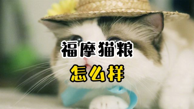 福摩猫粮怎么样?