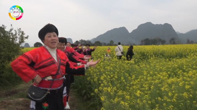 桂林灵川九屋廉政教育基地暨乡村振兴1日活动2024年3月7日