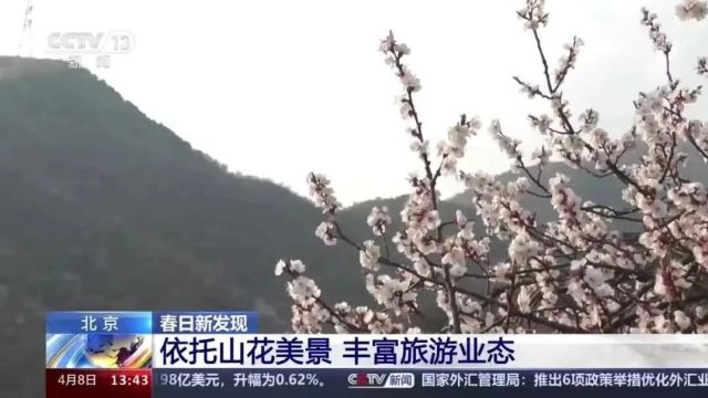 昌平春景美到全国,两次登上新闻联播!