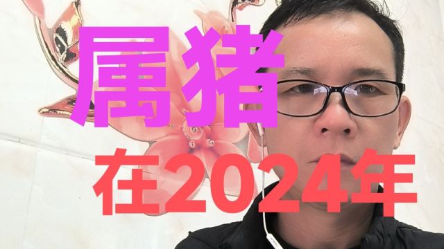 属猪在2024年事业财运健康感情身体是非五行中国传统文化