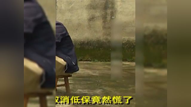 低保户名下有5家公司,资产高达上千万,提到取消低保竟然慌了#社会百态#纪实故事#纪录片 3