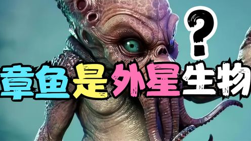 章鱼是外星生物?有可能会统治地球?海洋或是外星人的
