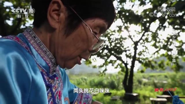 畲族:中国少数民族,其祖先为躲避战乱而隐居山林,传承独特文化