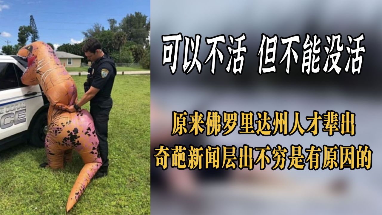 人杰地灵佛罗里达!各种奇葩新闻层出不穷,原来是有历史原因的!