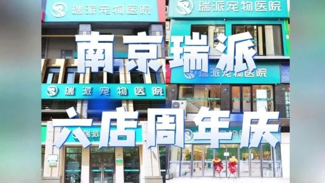 @南京宠主!瑞派六店周年庆,惊喜回馈抢先看!