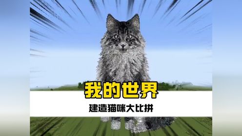 我的世界猫咪建造中,你认为哪个能完美胜出